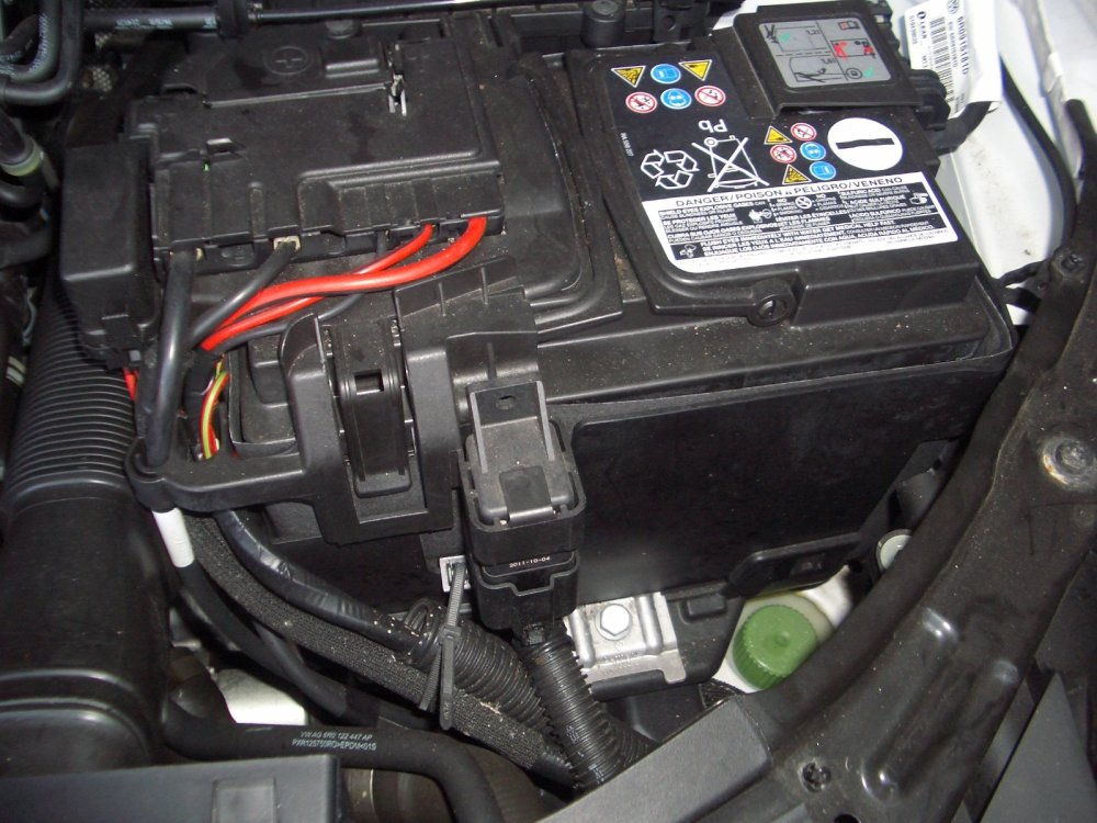 IMGP6001.JPG