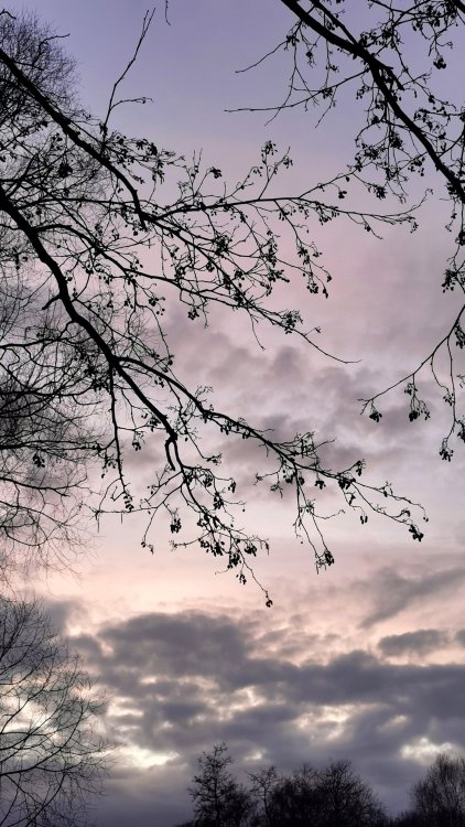 IMG_20220313_180023_edit_2444019931462486.thumb.jpg.c9e6b00ab9f973d1cc397a1b7f68e5e6.jpg