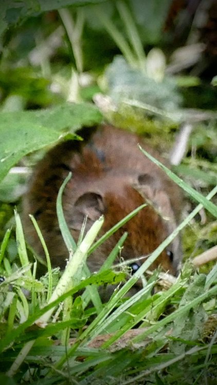 1708484541_1040374_edit_11218744898121462.thumb.jpg.dc8dbeffe1c5f3fd3414c9026b5c428c.jpg