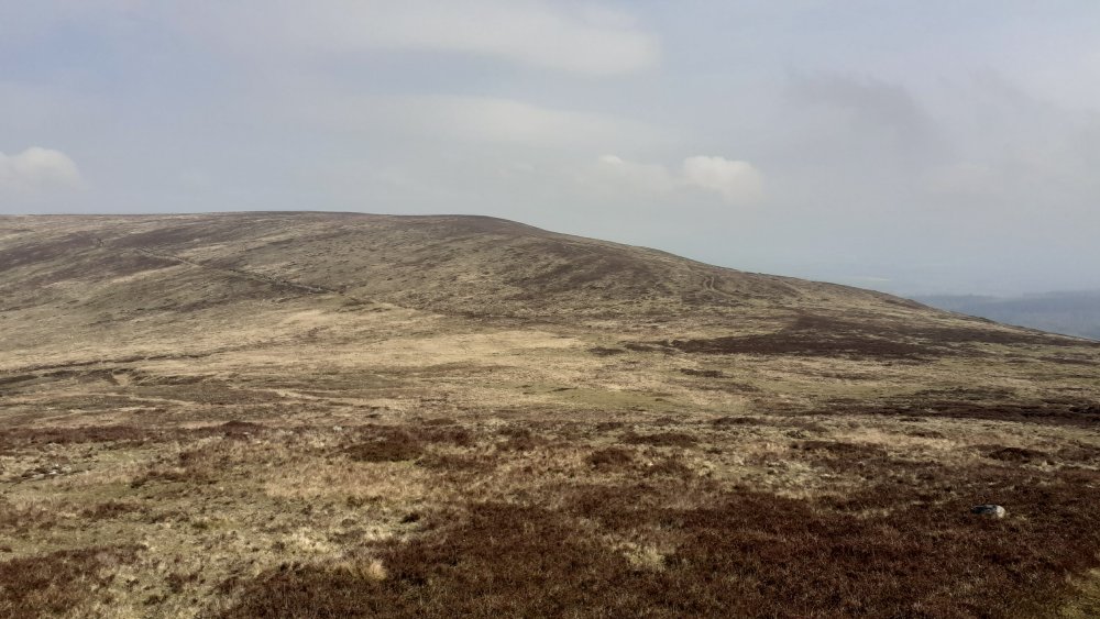 20220421_105040.jpg