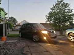 Freshly washed