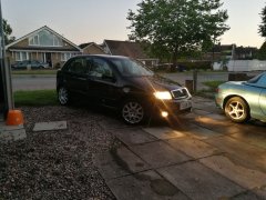 Freshly washed