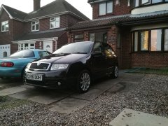 Freshly washed
