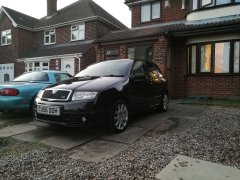 Freshly washed