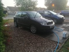 Freshly washed
