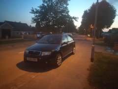 Freshly washed