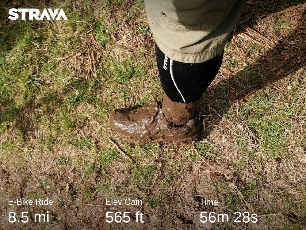 strava5403106642992207223.thumb.jpg.7c84b76bebc5bc096f0c812546bd7998.jpg