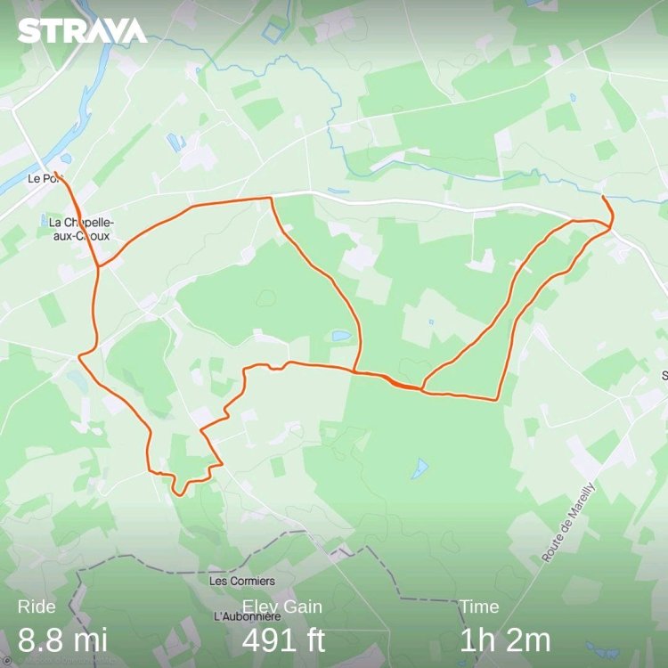strava9067846426804226490.jpg
