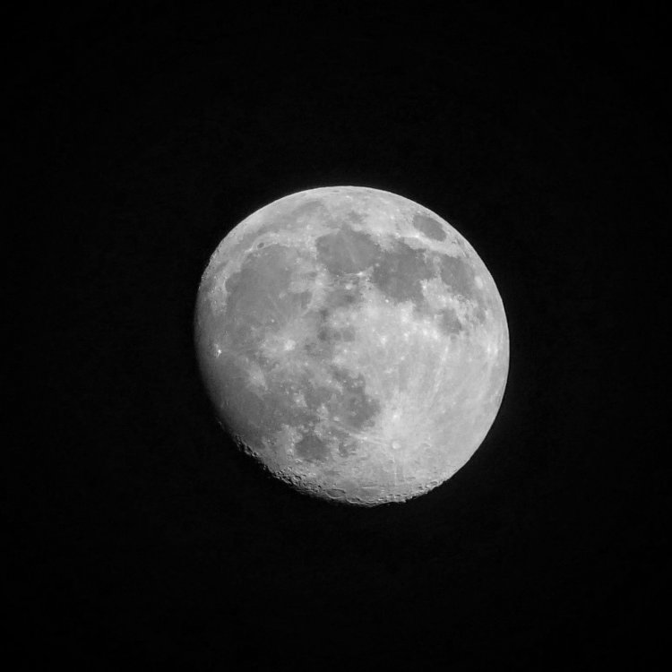 1020571_edit_150231197938533.thumb.jpg.4268eabca86e8073abbe6b5283963925.jpg