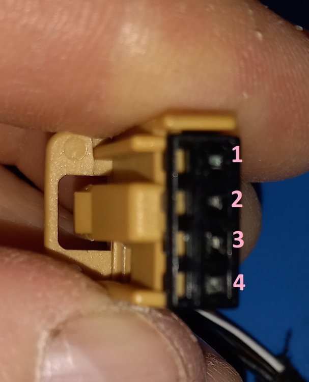 Window switches.jpg