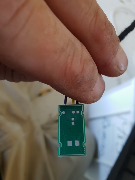 20191005_113102.thumb.jpg.34340b2c84d514b9a31b1bb2de24b93c.jpg
