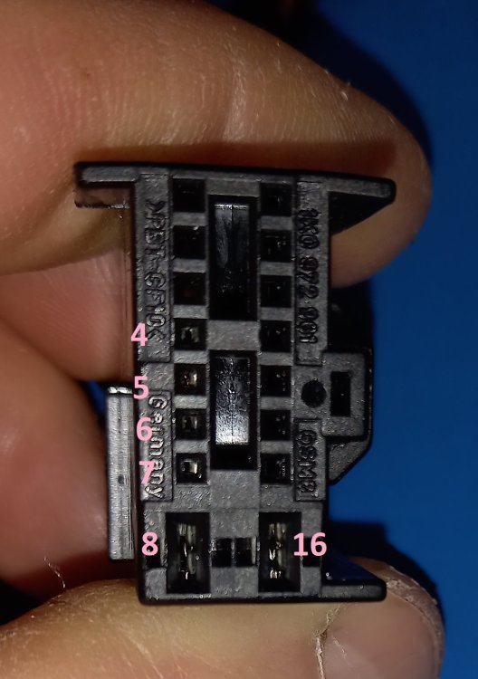 Window motor.jpg