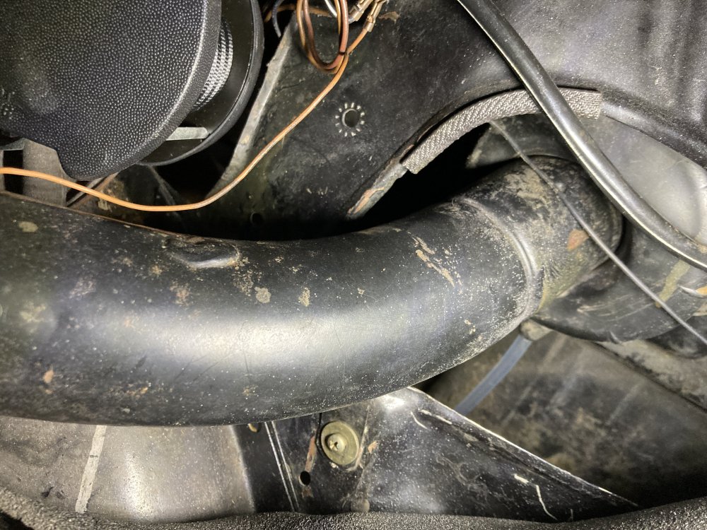 CA207083-0E3F-4766-BAC7-E117CE9ACC49.thumb.jpeg.314e173dddffc39aa87993faf33d96a9.jpeg