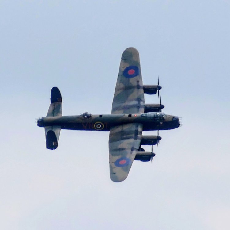 1076025315_1230174_edit_3187519390024022.thumb.jpg.8c0610a04d65b330eadeafa271a0925a.jpg