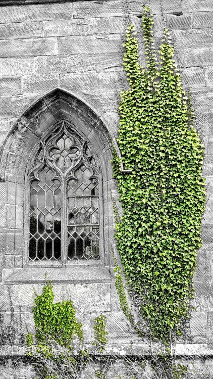 IMG_20220731_162955_edit_109082457361480.thumb.jpg.1a3f3d83f14f0c8bb3f762f8fb18883d.jpg