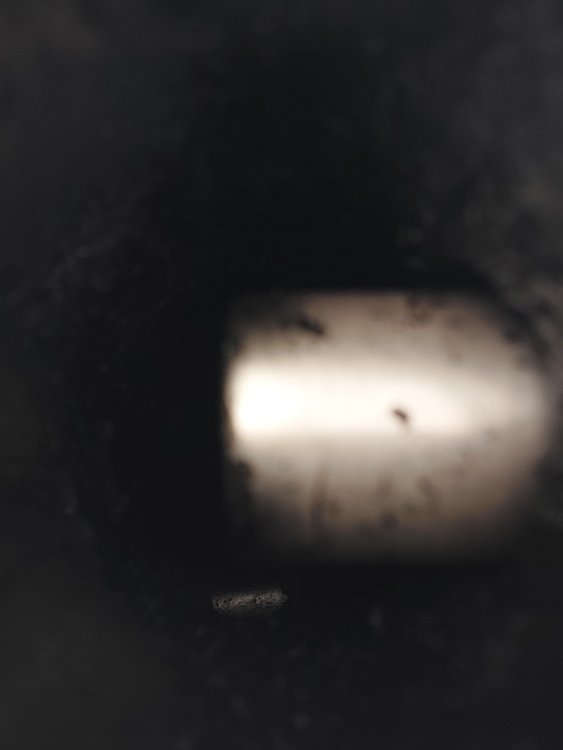 20220807_195508.thumb.jpg.1b3e9ec8d396d08f5756188cabc967a6.jpg
