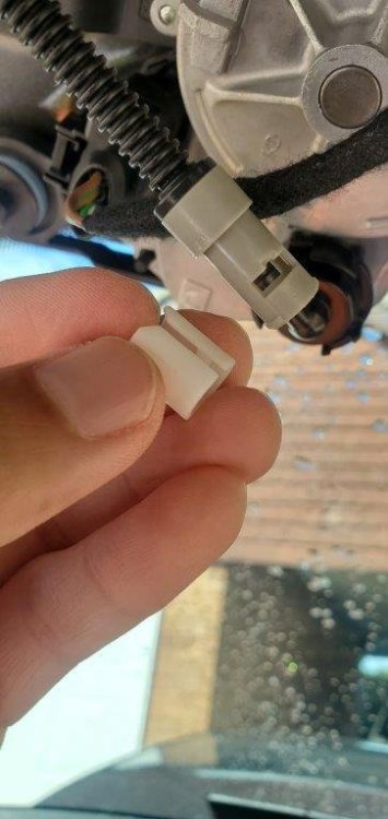 20220829_155646.thumb.jpg.cc5d7d8f8e7ec65fa1fa2cb1780b9d32.jpg