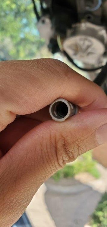 20220829_155707.thumb.jpg.6c4768c93a2f9fc543bcac5356d090c9.jpg