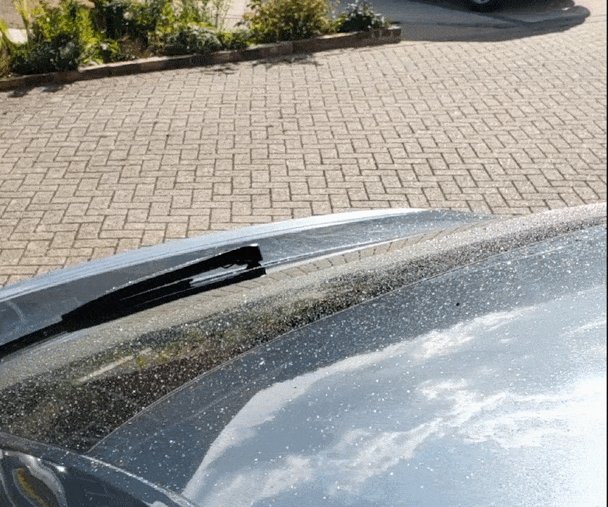ezgif-3-8b63743039.gif.dd177b61f6e2576ea923d5019029d09a.gif