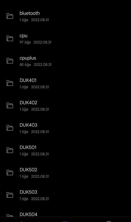 Screenshot_20220901-171351_Dosya yöneticisi~2.png