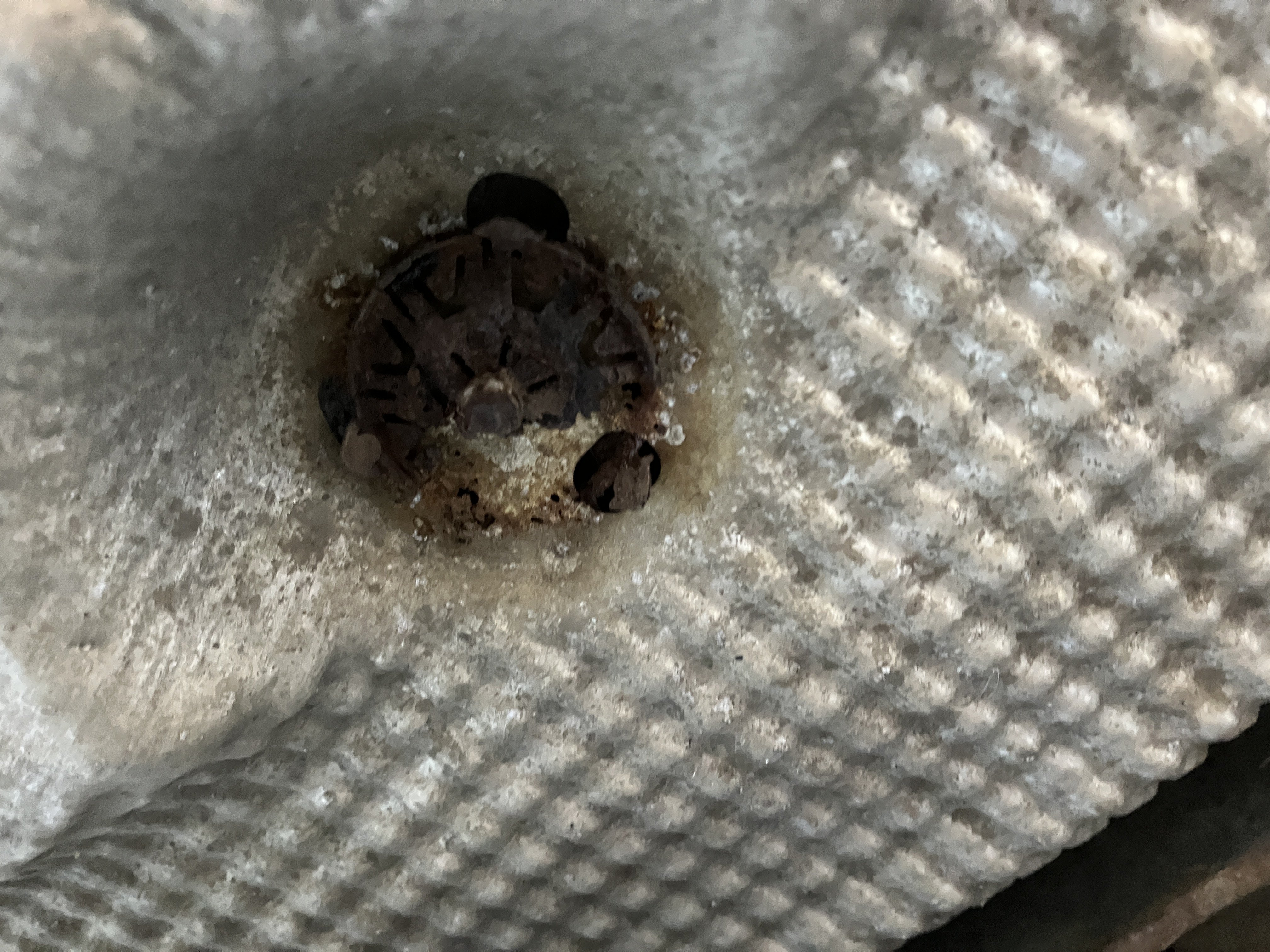 Under Car Heat Shield Rattle Skoda Superb Mk II (20082015) BRISKODA