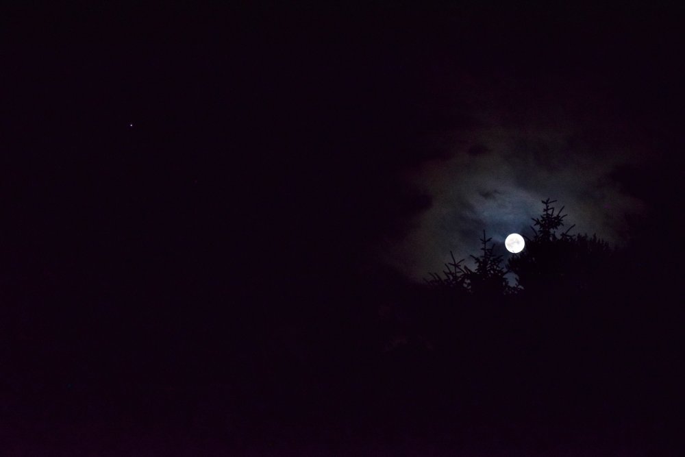 DSC_0273.jpeg