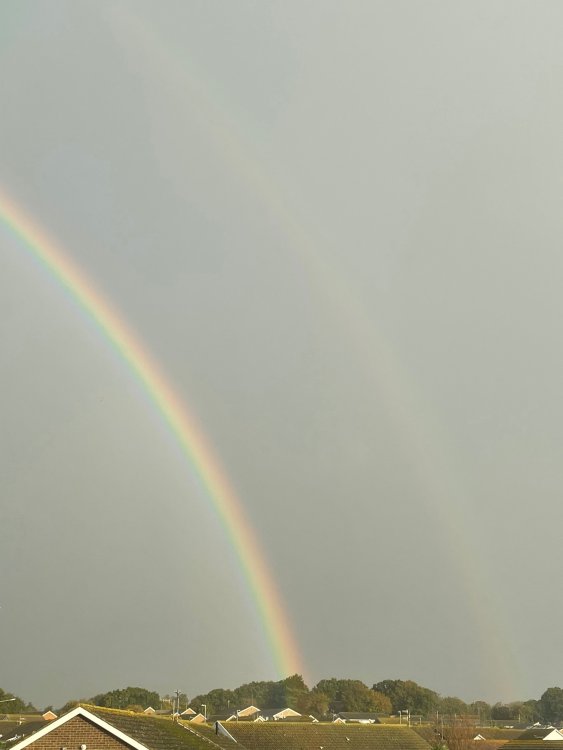 IMG_5708.thumb.jpeg.bbba45809ea7d96f13180623ea0c862f.jpeg
