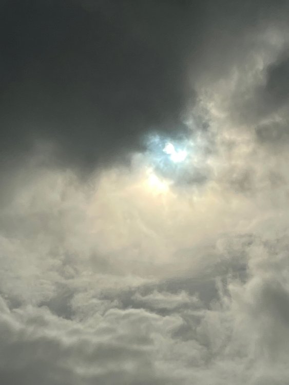 IMG_5712.thumb.jpeg.d88421c217e7a0ee91e1c5611e70a97a.jpeg
