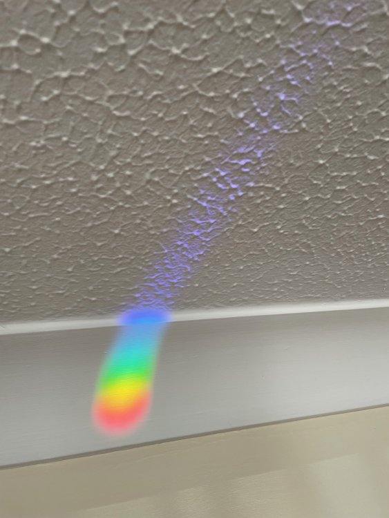 IMG_5750.thumb.jpeg.f697ebe14aa3089a64b9670a63d46d65.jpeg