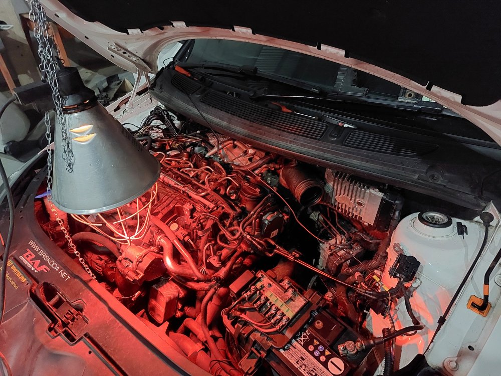 Injector fuse keeps blowing Skoda Fabia Mk II (20072014) BRISKODA