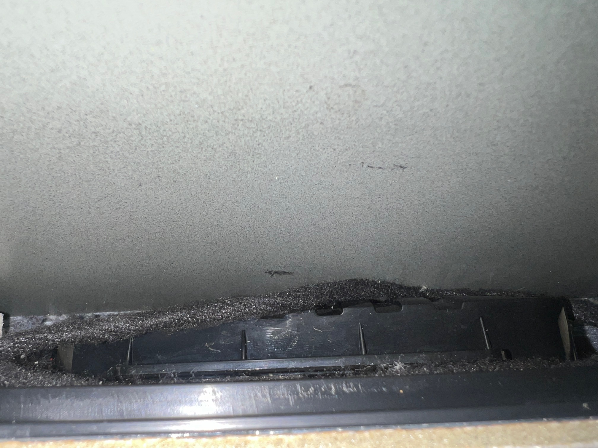 interior lighting (Electrical buzzing noise) Skoda Octavia Mk III (2013 2020) BRISKODA