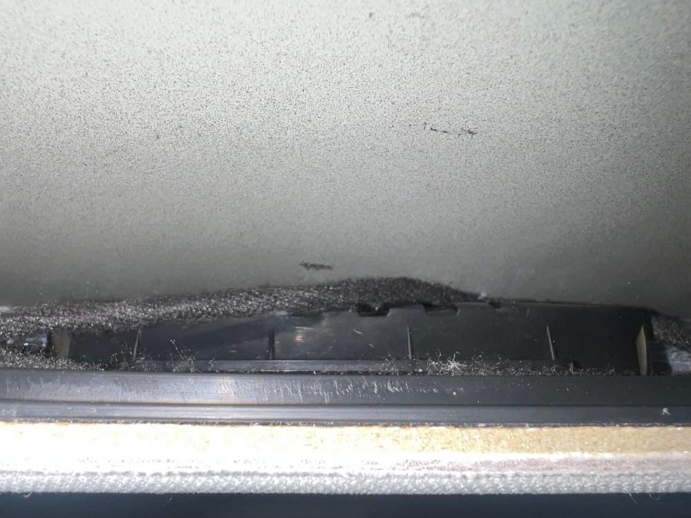 interior lighting (Electrical buzzing noise) Skoda Octavia Mk III (2013 2020) BRISKODA