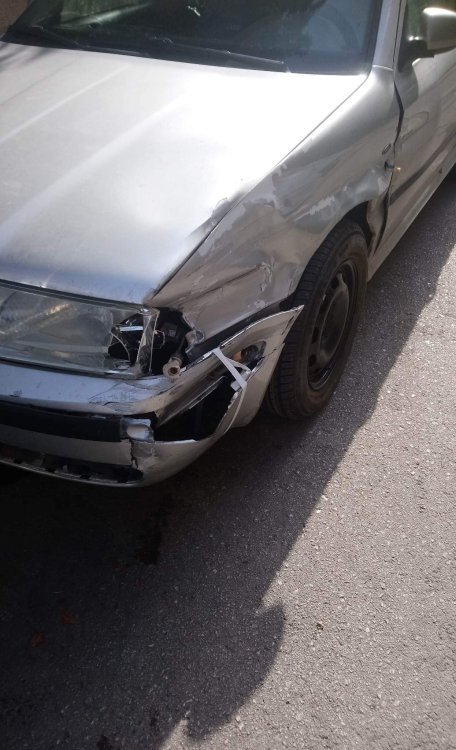 received_1378677499540620.thumb.jpeg.20dd56a1a046a9c5988ecb50fdde6aed.jpeg