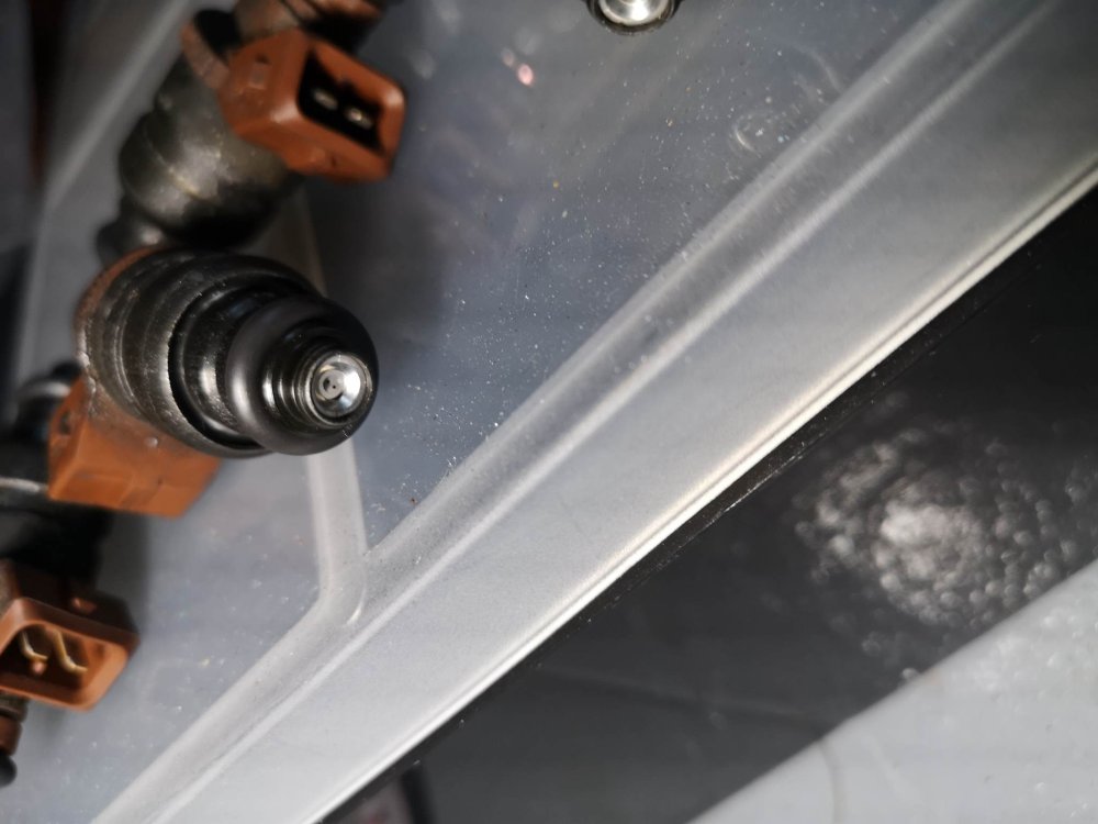 322673783_557443696282725_3215005485560566488_n.jpg