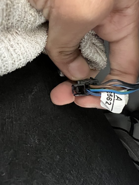 DA8936B8-26EF-40BB-A283-51FBA78D35C2.thumb.jpeg.99de17501e6d3b7672da72f496823047.jpeg