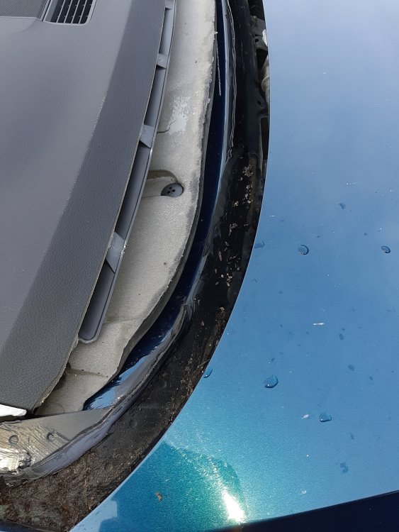 windscreen.jpg