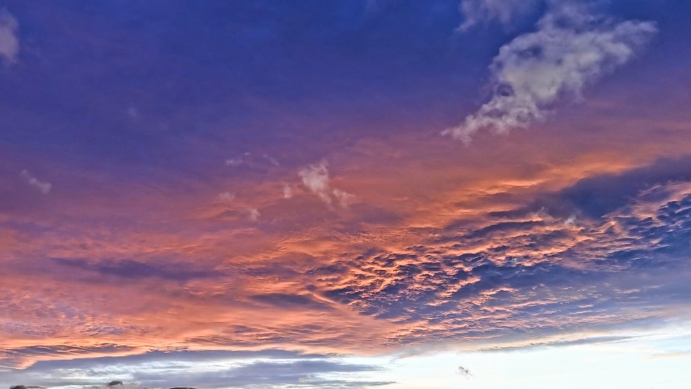 2114333_IMG_20230202_165842_edit_13581503392917152.thumb.jpg.51e195aae9fa7fc2be1b36a979d3692b.jpg