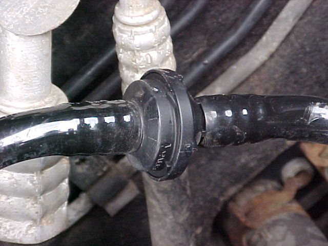 MVC-007F.JPG.ed8100d8c77828f9511976a1e2cdb373.JPG