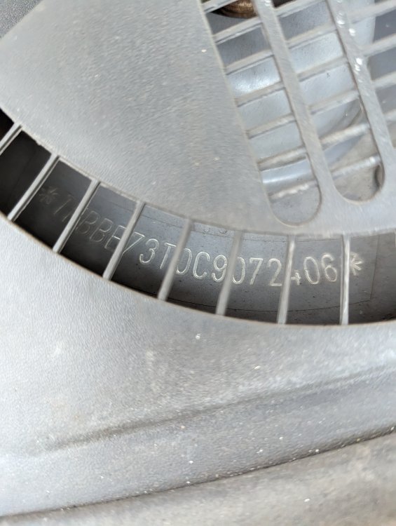 PXL_20230219_162212856.jpg