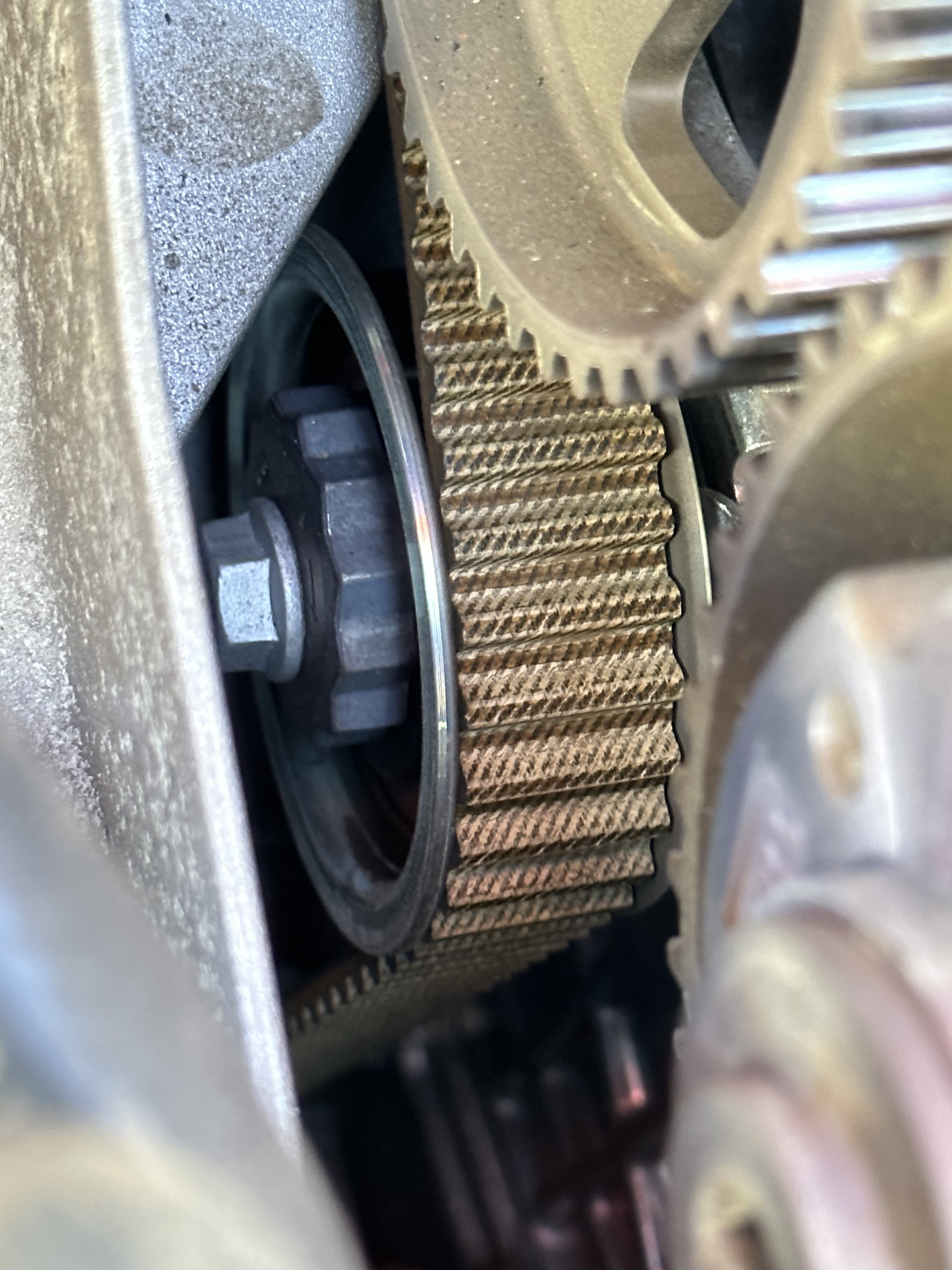 I need an opinion about the state of timing belt Škoda Citigo BRISKODA