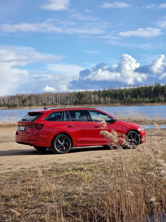skoda_smilgaas.jpg