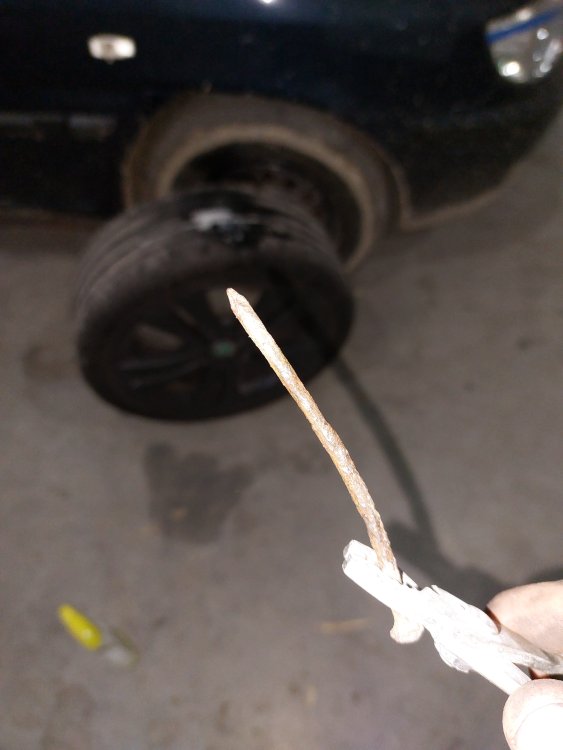 20230419_190136.thumb.jpg.685877ecd0535c0e7b1f533caf30ef33.jpg