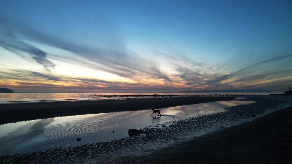 DSCN2599.JPG