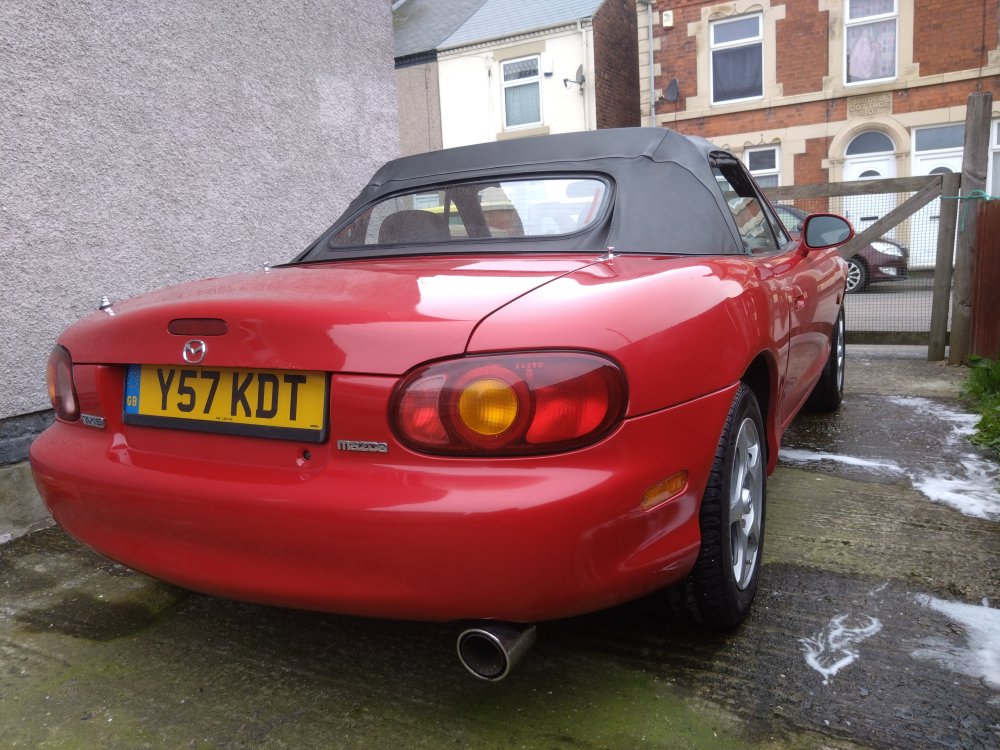 DSC_0185.thumb.JPG.b03026815f99269d468980588f14f405.JPG