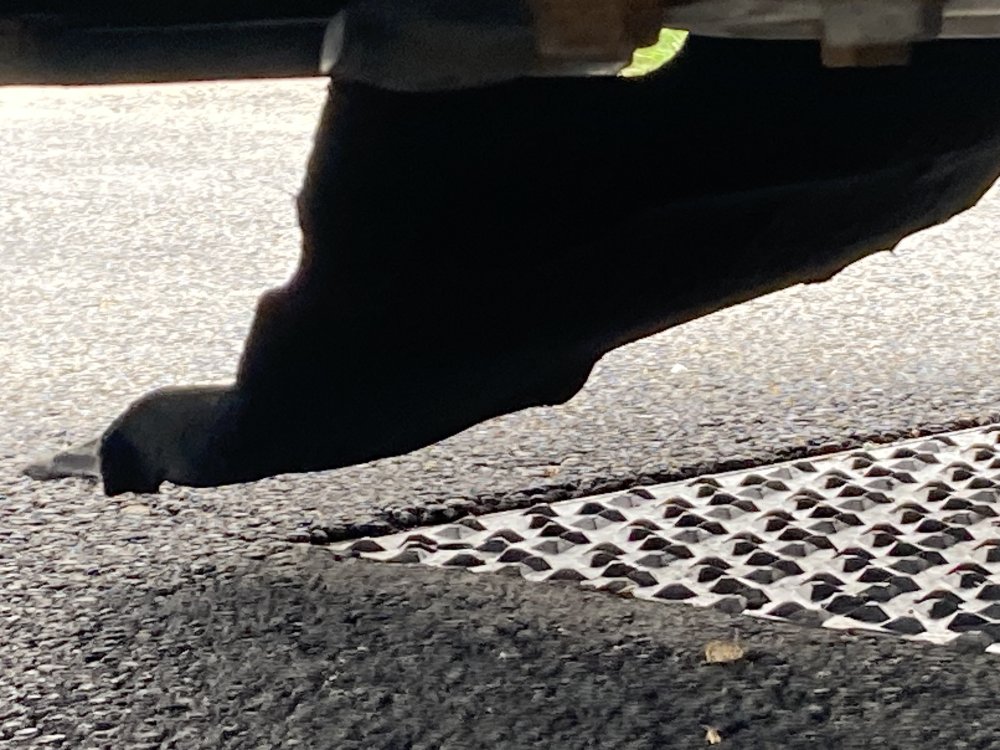 IMG_4067.jpeg