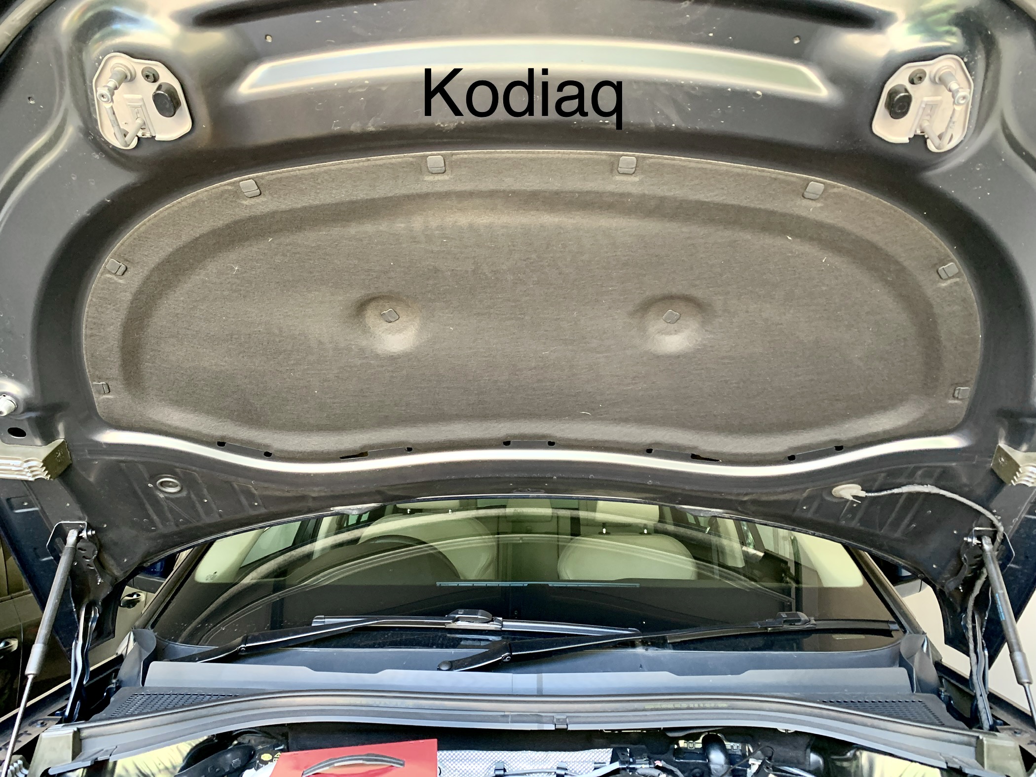 Inner covers Skoda Octavia Mk III (2013 2020) BRISKODA