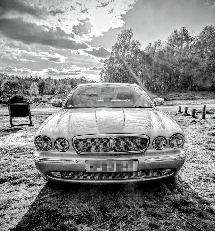 IMG_20230501_224910.thumb.jpg.b20110db575ff9f1569f6f3130bb819a.jpg