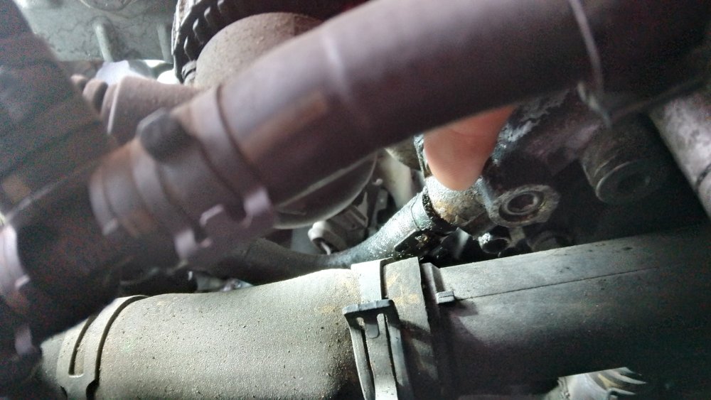 IMG_20230510_184555_HDR.thumb.jpg.4d146fa0fc3edae67522d6be59b6a091.jpg