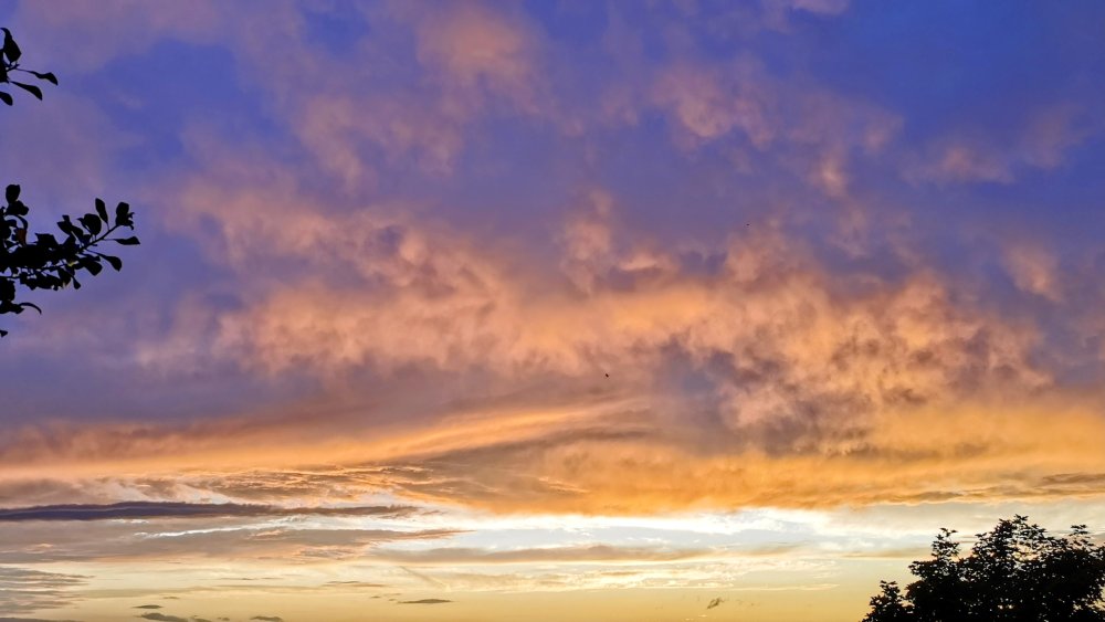 1362383743_IMG_20230710_212416_edit_432232367423612.thumb.jpg.f00194ccf1ca49075af7710979194543.jpg