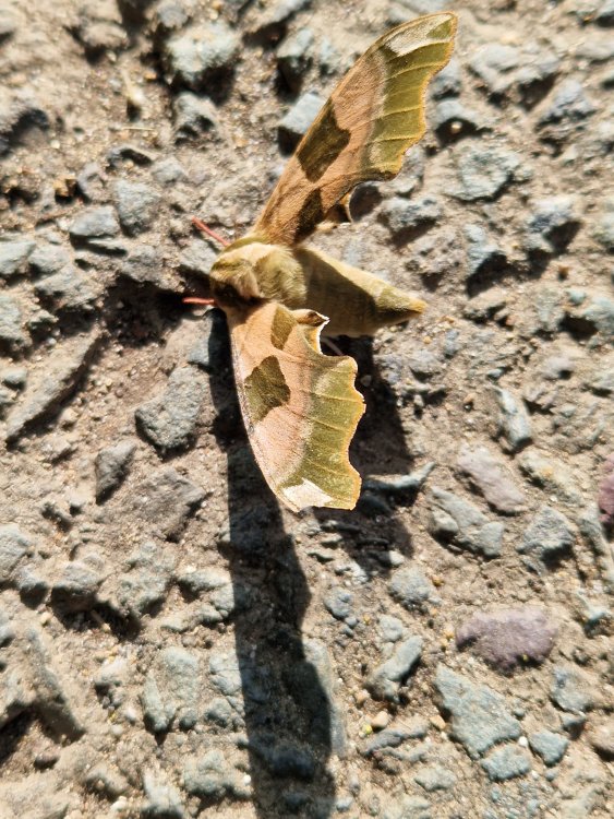 20230702_081934.jpg